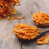 VitaliShroom<br>Glavatec (Cordyceps) - Image 3