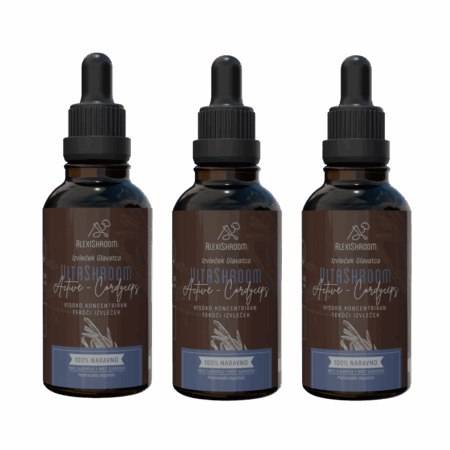 Paket 3x VitaShroom Active